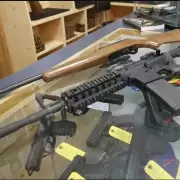 Por decreto se autorizó la adquisición de armas largas semiautomáticas y de asalto