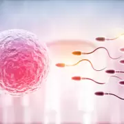 Fertilidad: la UNCuyo brindar� una jornada clave para cuidar la salud reproductiva