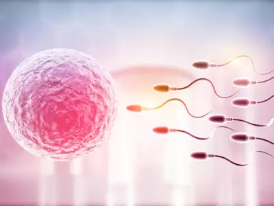 Especialistas de la UNCUYO compartir�n informaci�n clave sobre fertilidad.
