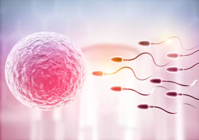 Especialistas de la UNCUYO compartir�n informaci�n clave sobre fertilidad.