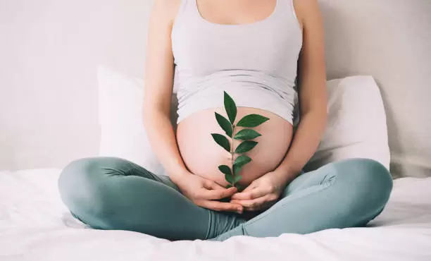 Este 27 de junio, el Hospital Universitario de la UNCUYO invita a toda la comunidad a una jornada gratuita sobre fertilidad.