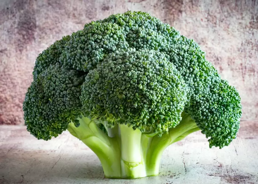El br�coli. Uno de los alimentos con m�s fibra de la naturaleza.