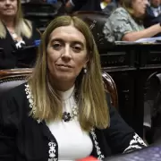 Diputados quieren asegurar dinero para el Hospital Garrahan y las universidades