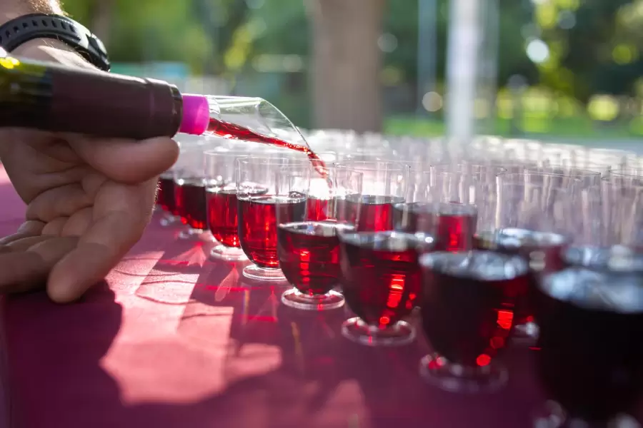 El vino es el atractivo insustitu�ble