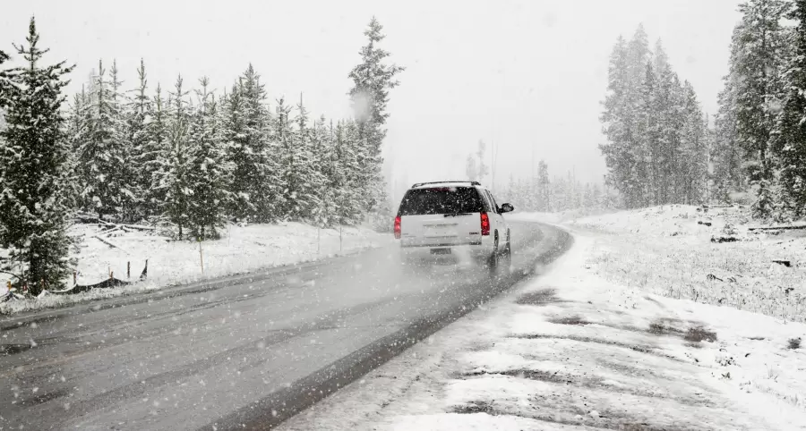 Camino nevado, nieve, hielo, invierno, frío