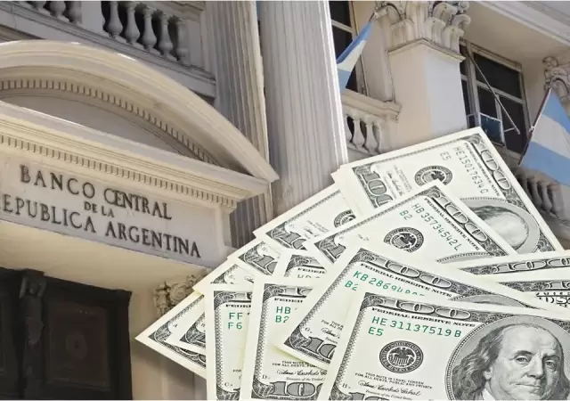 "En la encuesta, el 19.9% dijo tener ahorros en d�lares. De ellos, el 46% quiere seguir conserv�ndolos" (A. P. Zuban).