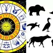 Astrolog�a animal: cu�l es tu esp�ritu guardi�n seg�n el zod�aco