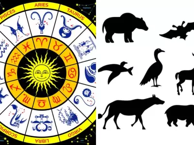�Y si tu signo escondiera un v�nculo secreto con una criatura poderosa?