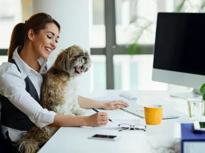 El v�nculo emocional que transforma oficinas.