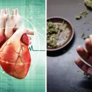 �Qu� pasa en tu sistema cardiovascular cuando fum�s marihuana?
