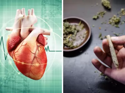 Porro y coraz�n: lo que deber�as saber antes de fumar, seg�n un experto.