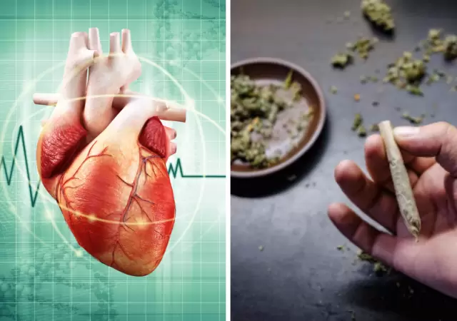 Porro y coraz�n: lo que deber�as saber antes de fumar, seg�n un experto.