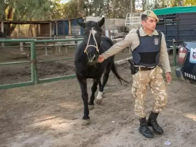 Megaoperativo de la Polic�a Rural. /