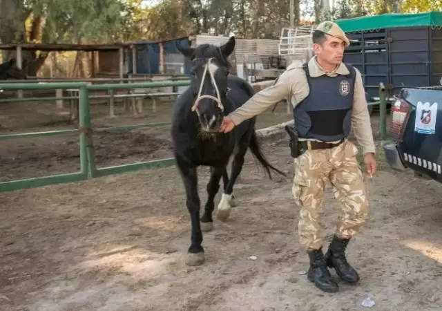 Megaoperativo de la Polic�a Rural. /