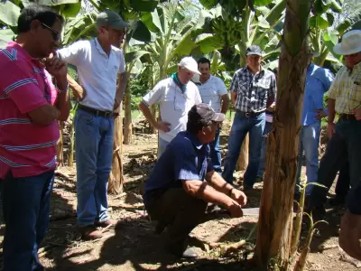 Trabajadores de INTA.