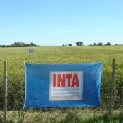 Alerta en el INTA: advierten que el Gobierno busca eliminar su raz�n de ser