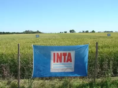 INTA.