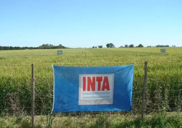 INTA.