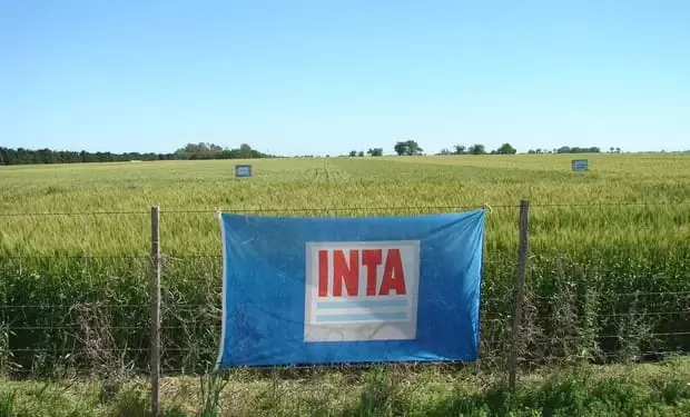 INTA.
