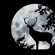 Luna de Ciervo 2025: cu�ndo verla, qu� significa y c�mo aprovechar el fen�meno