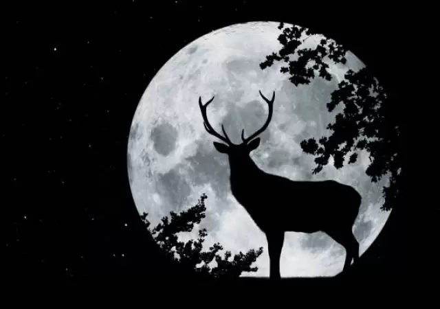 Luna de ciervo.