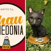 Un taller santafesino transforma el duelo por mascotas en arte conmovedor