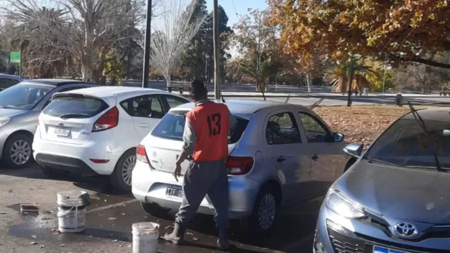 Cada uno de ellos tendr� un chaleco numerado y una credencial con sus datos.