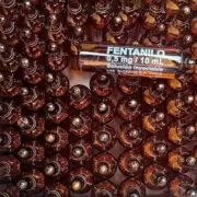 La OMS emiti� una alerta por el fentanilo contaminado en Argentina
