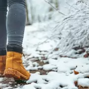 Frente polar en Mendoza: hasta -5 �C, nieve en el llano y alerta amarilla