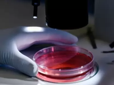 An�lisis de sangre
