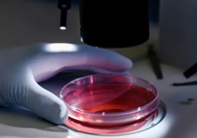 An�lisis de sangre