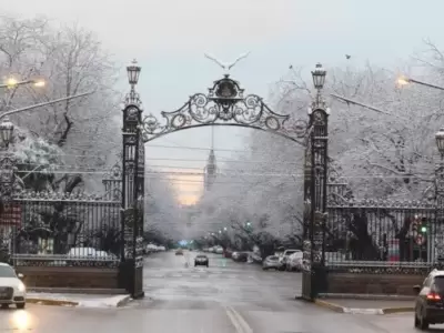 Nieve en Mendoza.