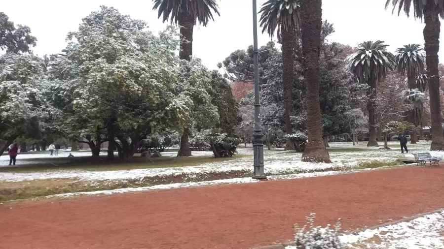 Olar de fr�o polar en Mendoza/ Gentileza: Carolina Colussi