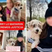 Indignaci�n en C�rdoba: le dispararon a un perro de terapia y su familia pide justicia