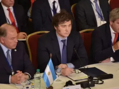 Los ministros de exteriores y econom�a son la punta de lanza de Milei para garantizar un documento del bloque m�s af�n a sus ideas.