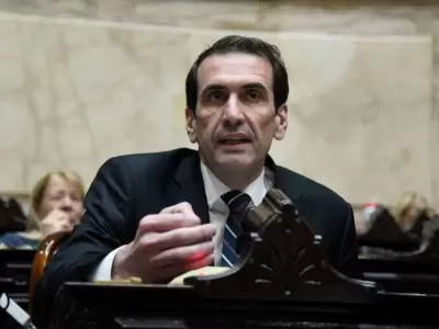 Diputado nacional por Neuqu�n Pablo Cervi. (Imagen: archivo web)