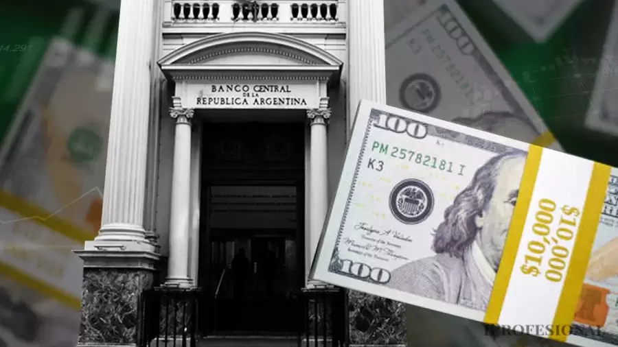 "El d�lar sigue en un estado de tranquilidad absoluta, con la novedad de que el mercado se liber�" (F. Galante)