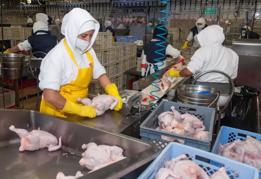 Distintos niveles de producci�n