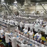Sorprendentes cifras para la economía otorga la avicultura