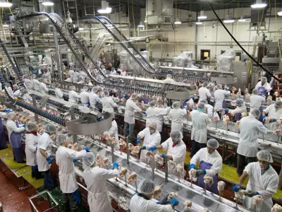 Producci�n masiva