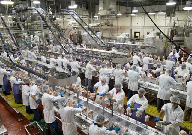 Producci�n masiva