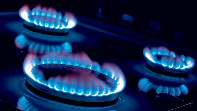 En lo que va del a�o ya se registraron m�s de 500 intoxicaciones por mon�xido de carbono en Argentina