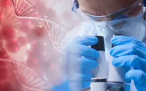Dado el creciente potencial del sistema CRISPR/Cas el campo de aplicaci�n es amplio.