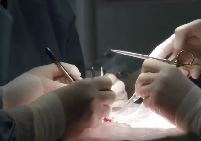 Conoc la emocionante historia de Vicky, la beb que se salv por el amor