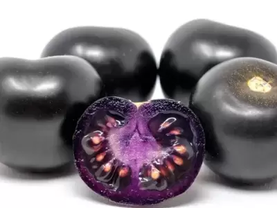 Tomates negros