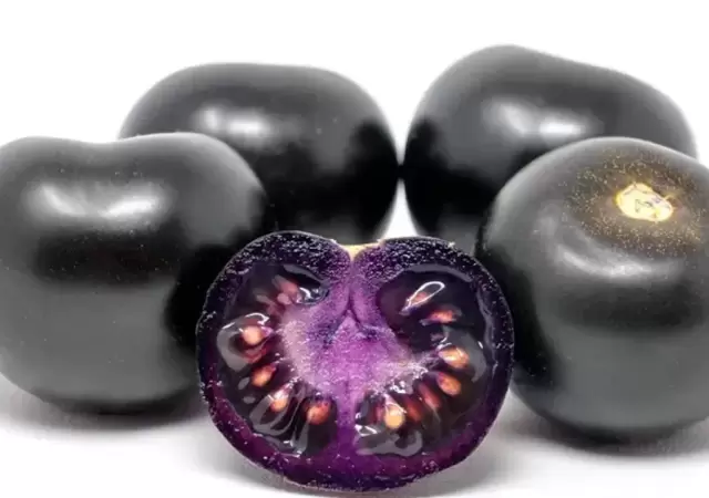 Tomates negros