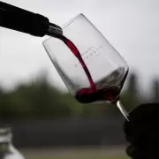 Mendoza abre la inscripci�n al certamen que premia lo mejor del enoturismo 2024