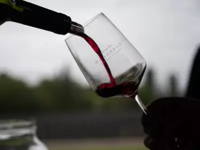 Copa de vino.