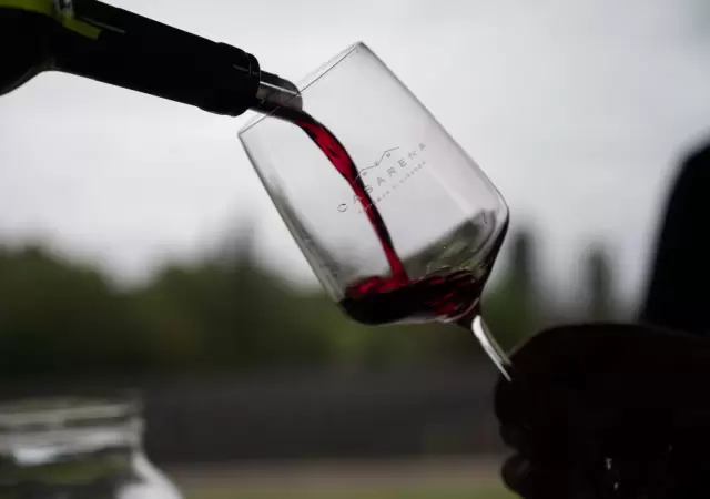 Copa de vino.