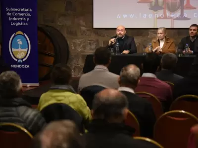 Mendoza lanza la convocatoria del Programa de Fortalecimiento Institucional para potenciar a las pymes.